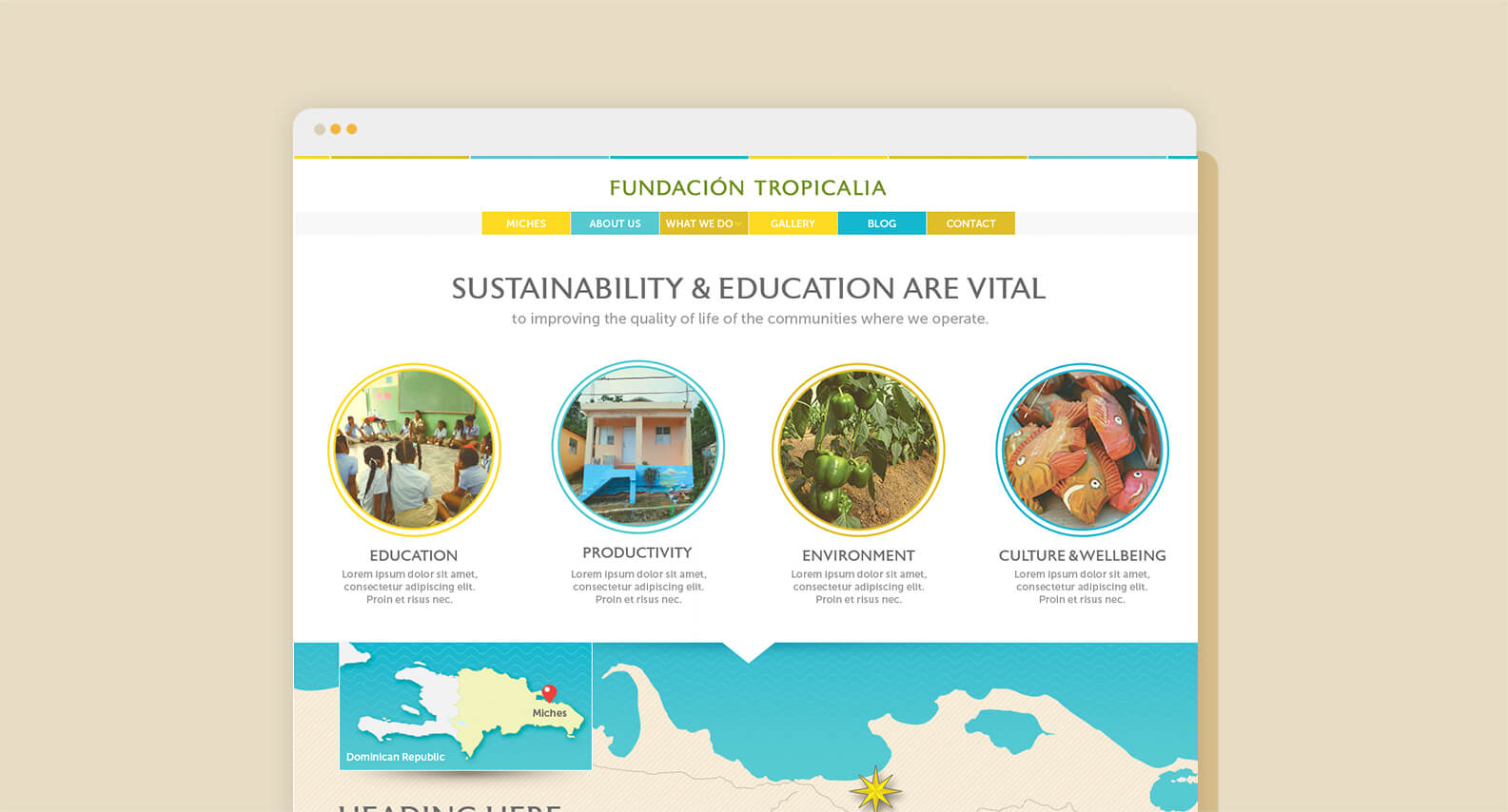 Tropicalia website design by Jacober Creative