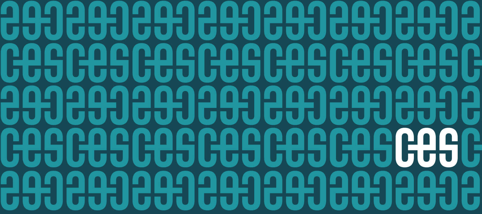 CES Consulting branded pattern by Jacober Creative