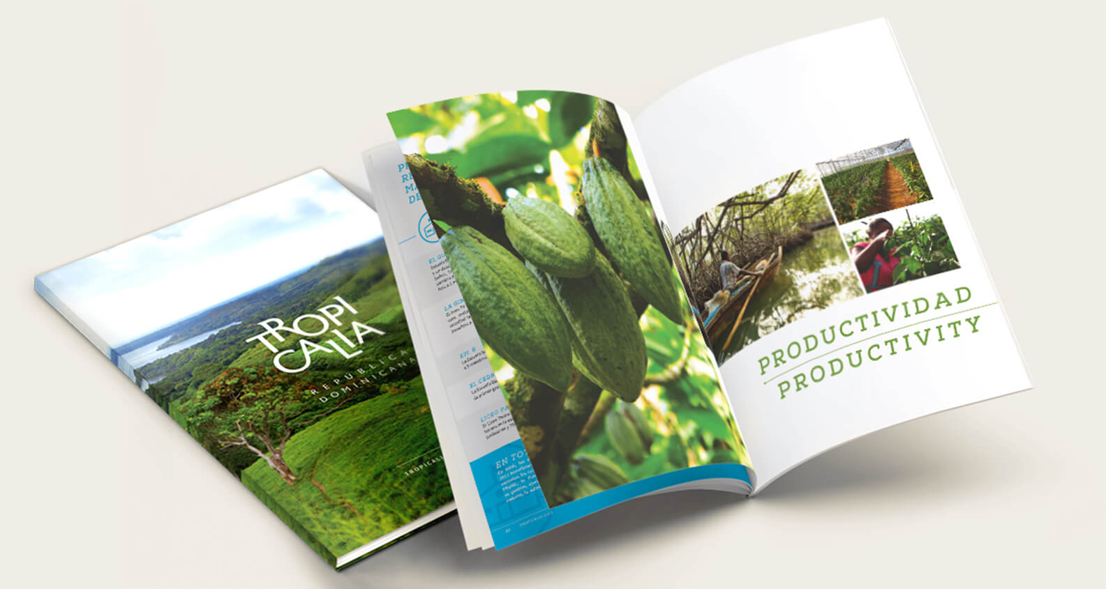 Tropicalia book design by Jacober Creative