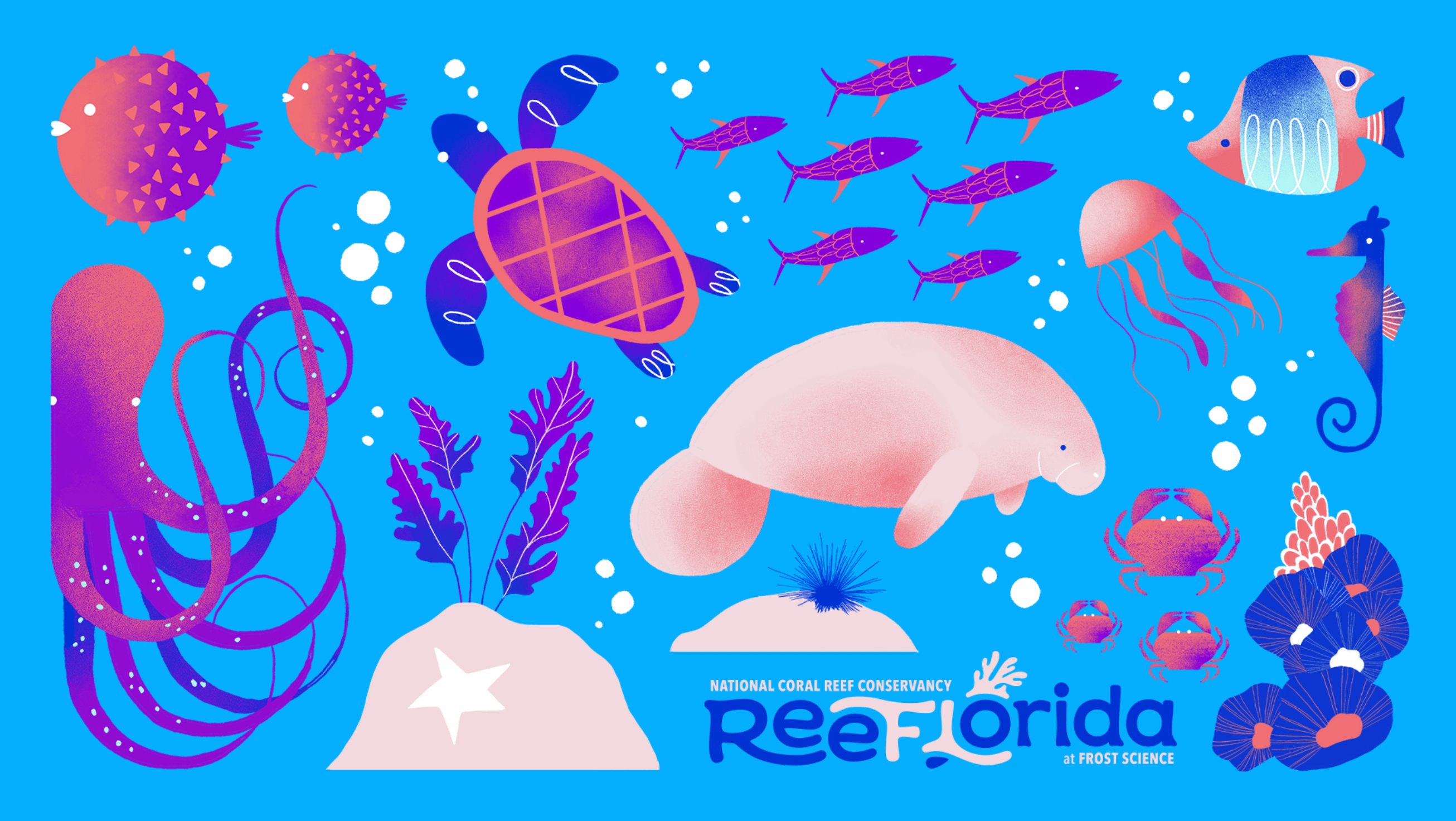 Illustration Services