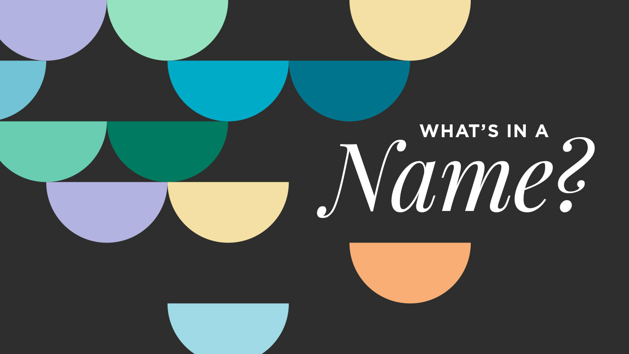 The Name Game Vote For Your Favorite