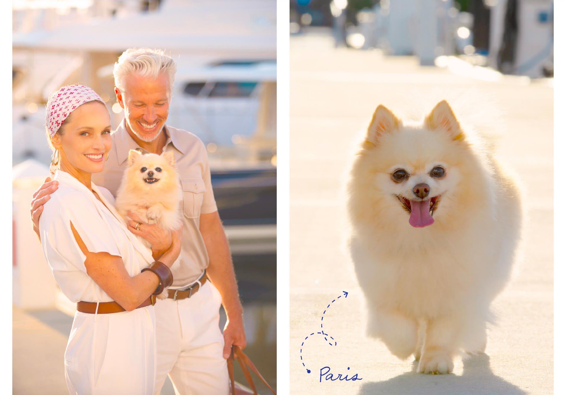 Palm Beach Marina Case Study