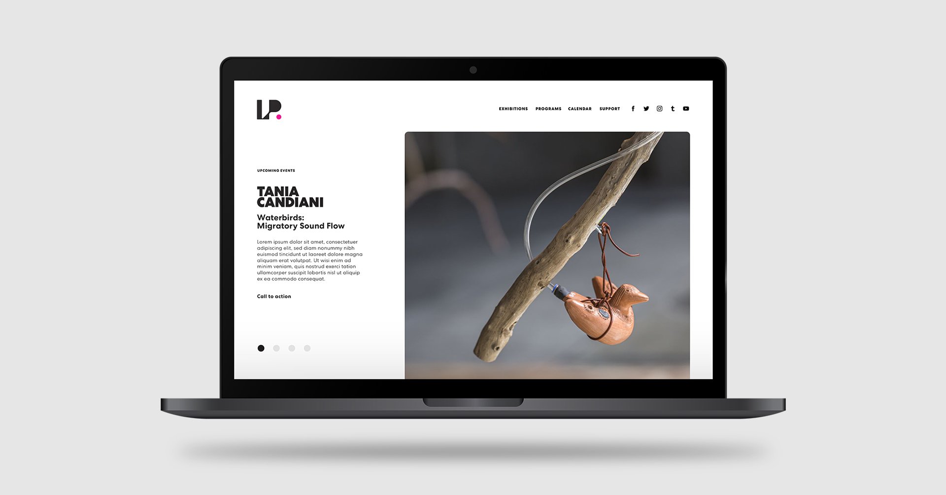 Website Design for Locust Projects