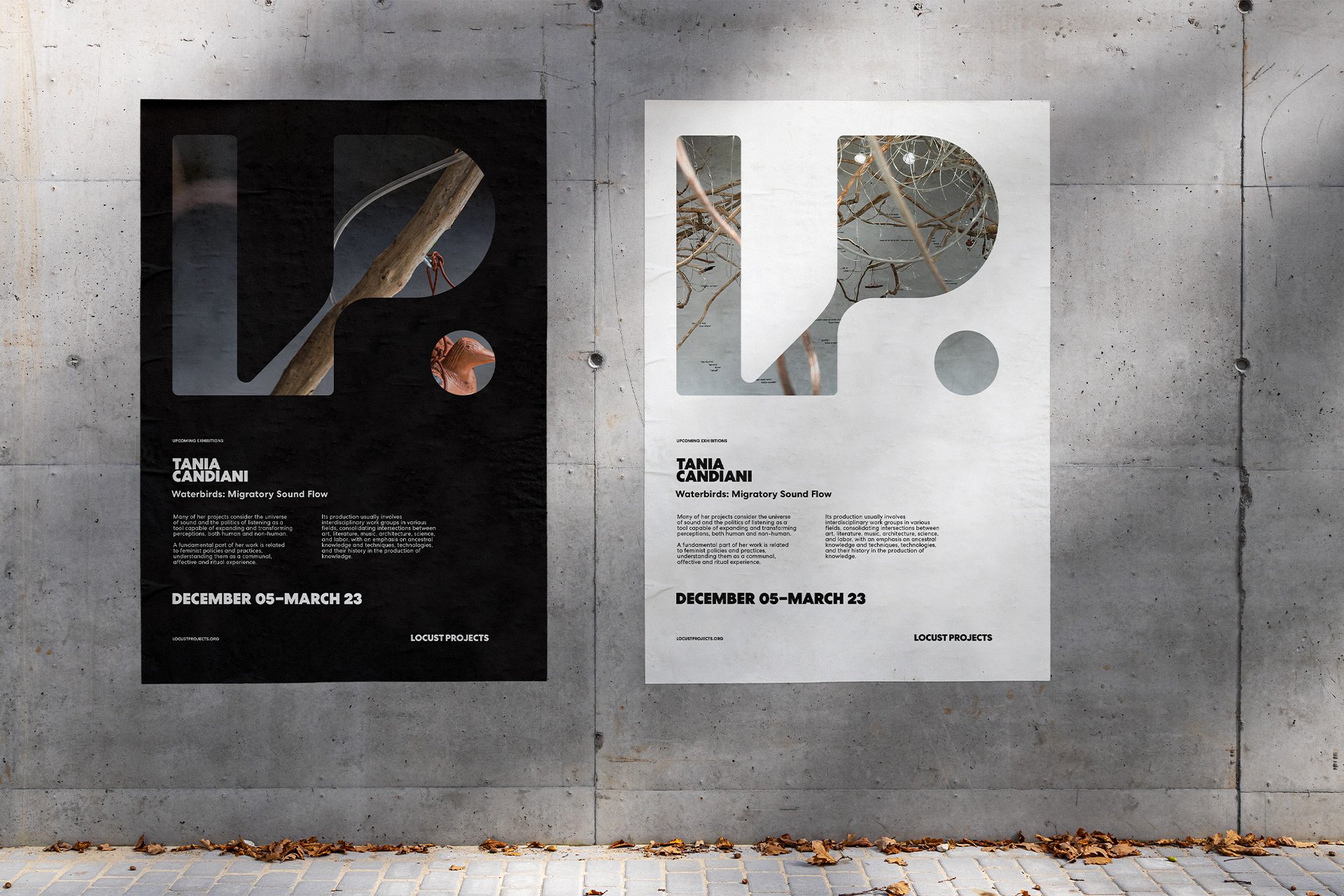 Locust Projects Posters