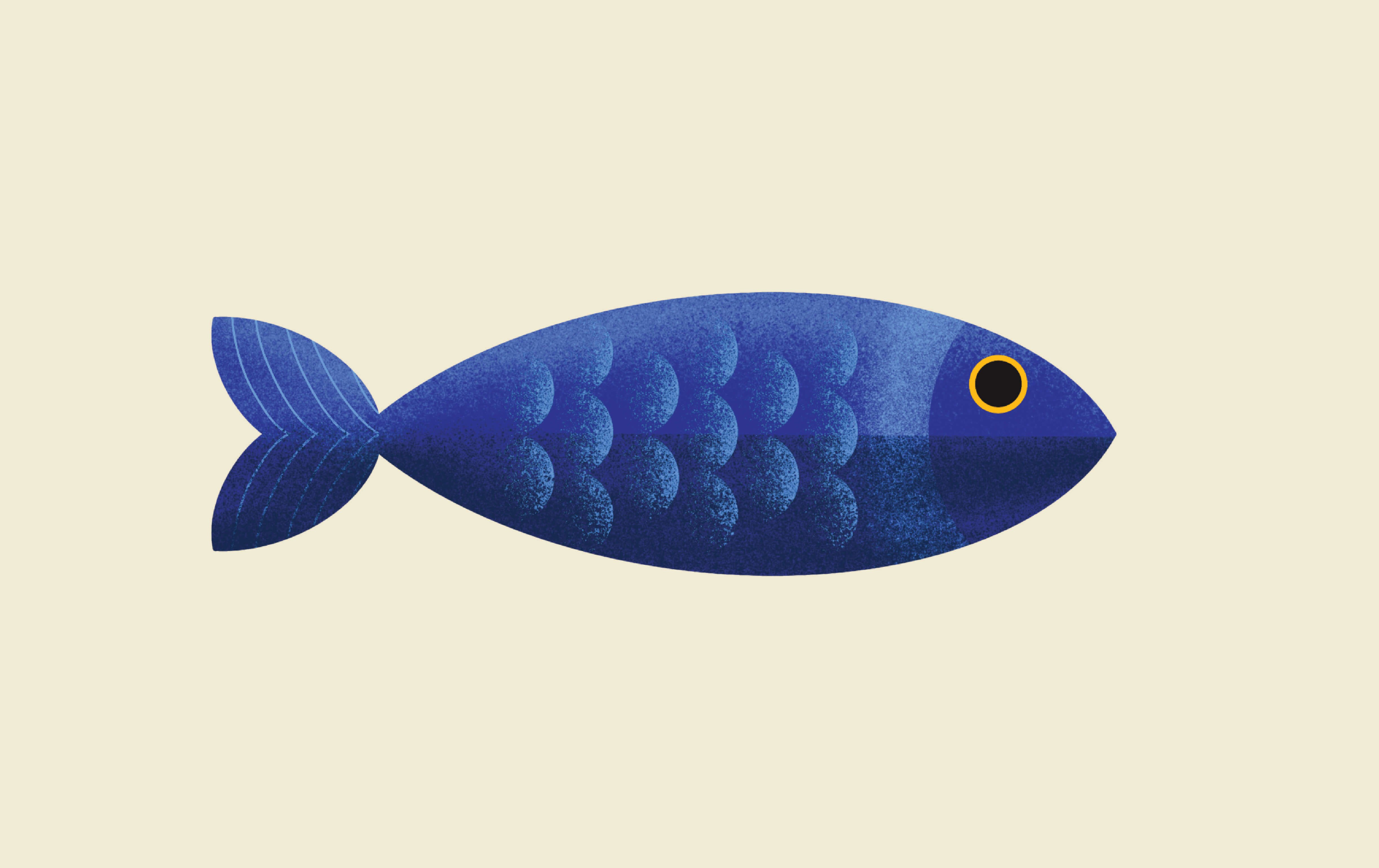 Fish illustration for the find your flavor campaign by Jacober Creative