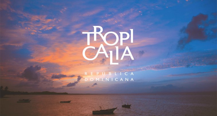Tropicalia Annual Report Design
