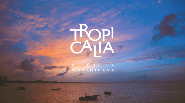 Tropicalia Annual Report Design