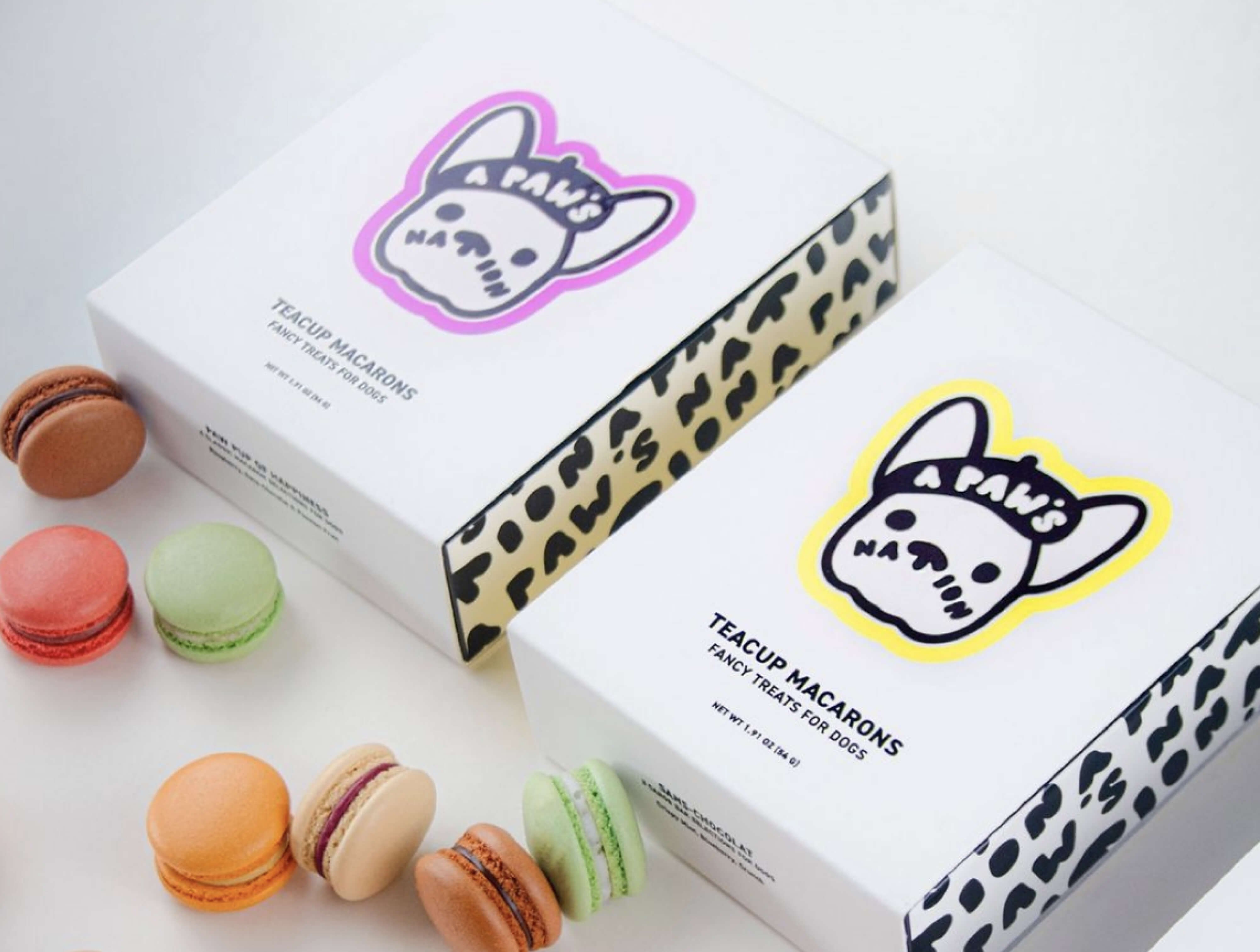 Jacober Creative Brand Identity for A Paw's Nation